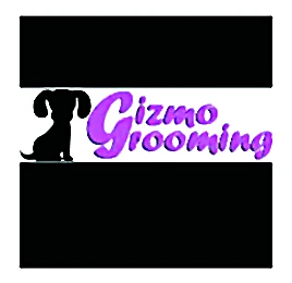 Gizmo
